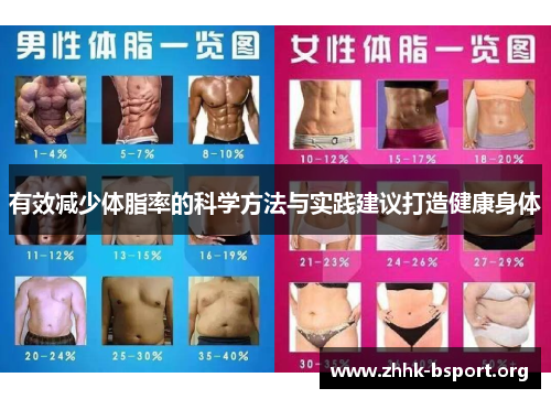 有效减少体脂率的科学方法与实践建议打造健康身体