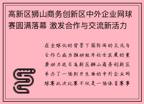 高新区狮山商务创新区中外企业网球赛圆满落幕 激发合作与交流新活力