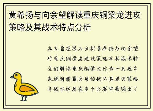 黄希扬与向余望解读重庆铜梁龙进攻策略及其战术特点分析